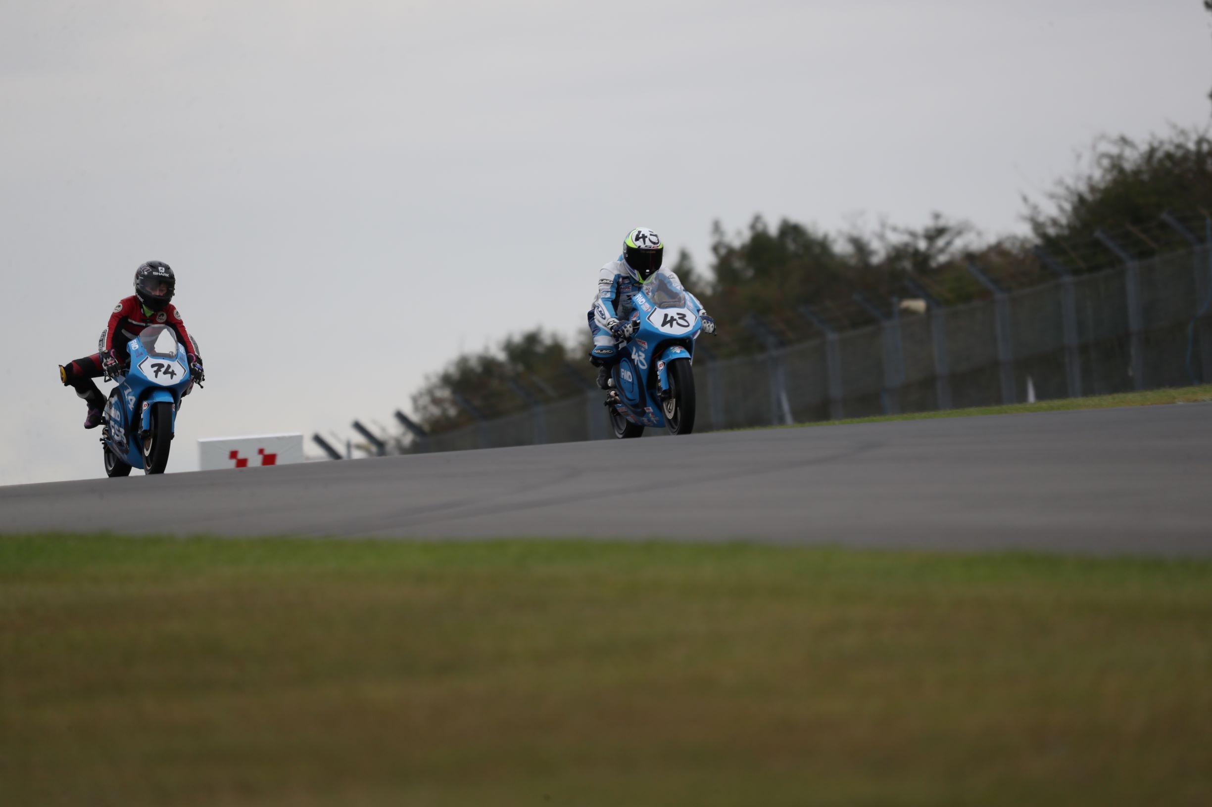 Monte Wilson Racing Wilson Racing results brighten a damp Donington - WilsonRacing.uk
